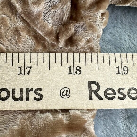 Sundance Catalog Dress Women's Size 6 Velvet Burnout Beige Silk Champagne Dreams - Picture 11 of 16